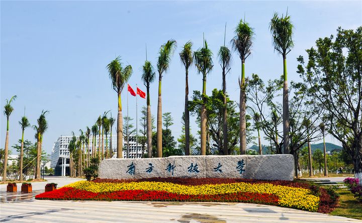 南方科技大学排名_南方科技大学