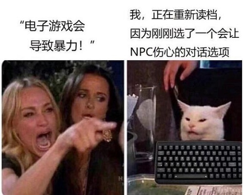 女人指小猫表情包分享