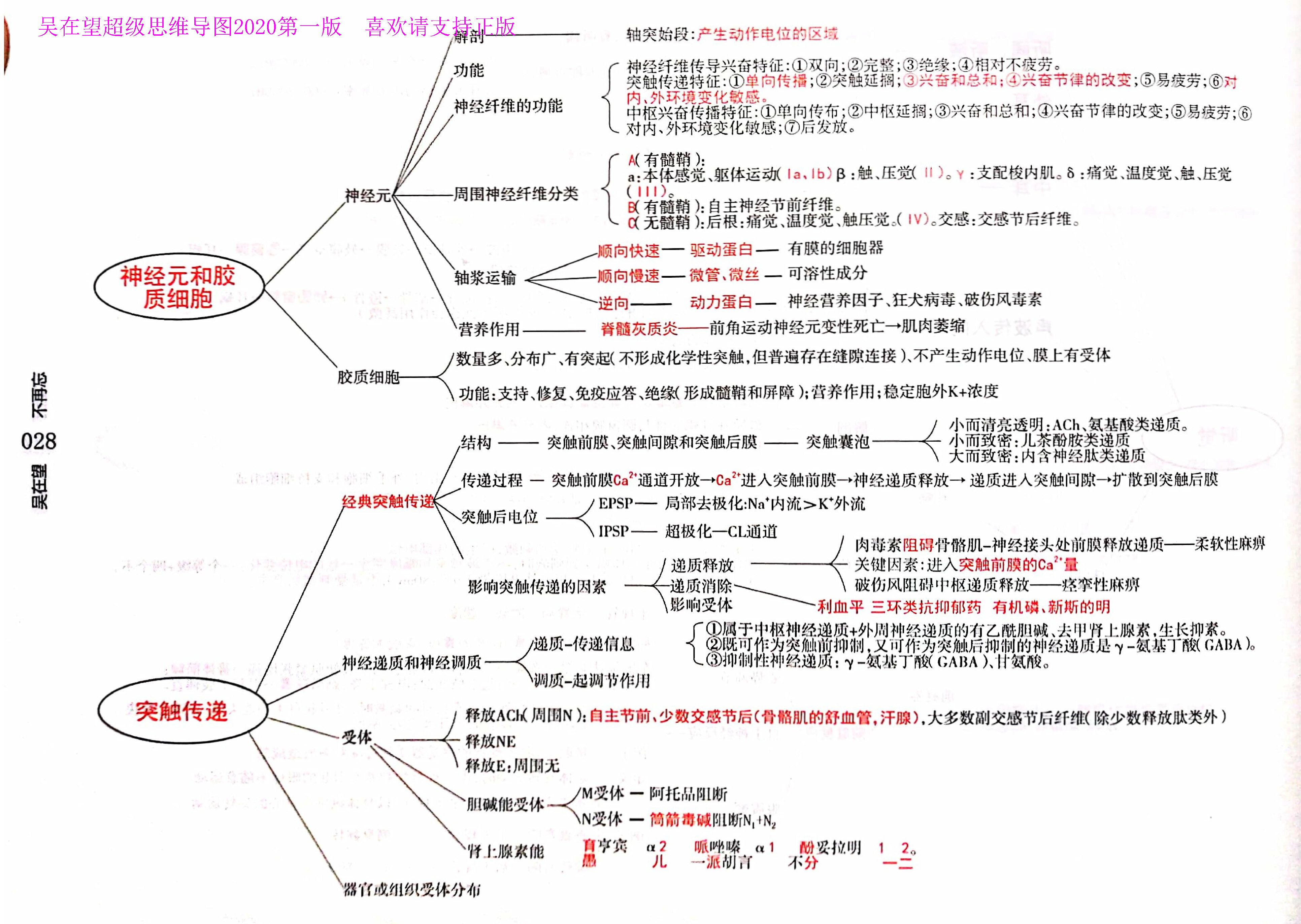 西综思维导图,西综考研神器,吴2生理学--吴在望