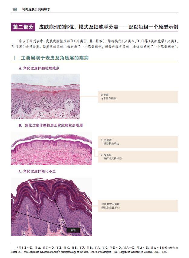 利弗皮肤组织病理学第11版中译本正式出版啦