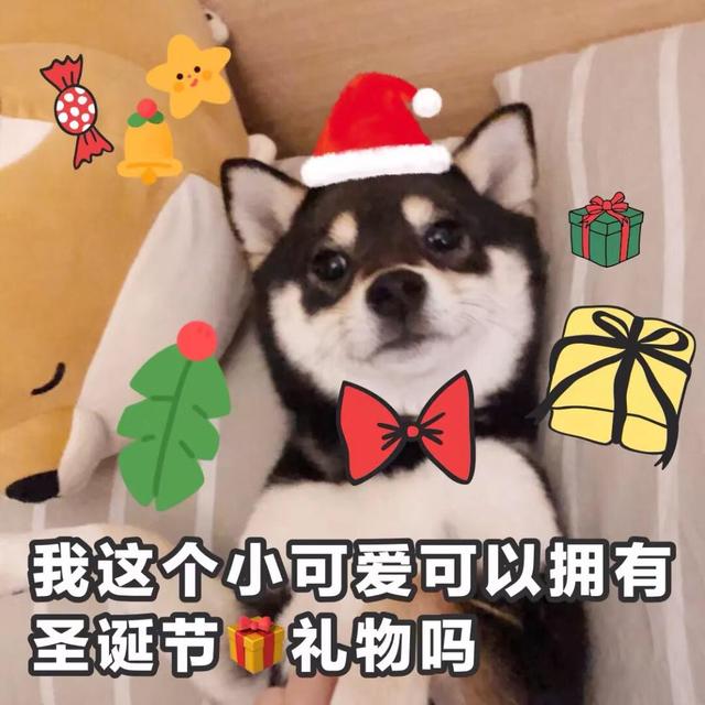 2927689d902b45638bdc840b96eb51cb.jpeg