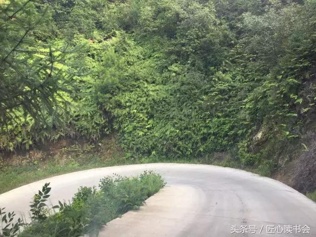 香炉山有哪些村 2c8f78da5de54dcb9536096e972a9398.jpeg