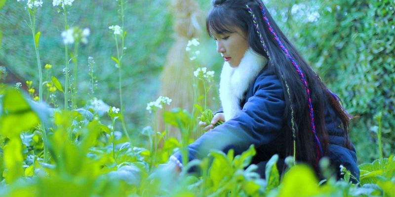 让数百万外国人爱上中国,日本网友:这个小姐姐