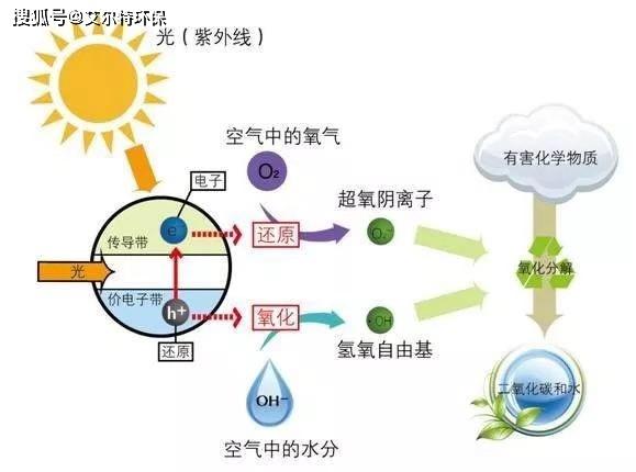 光触媒原理2、生物酶：生物酶是由活细胞产生的具有催化作用的有机物。一