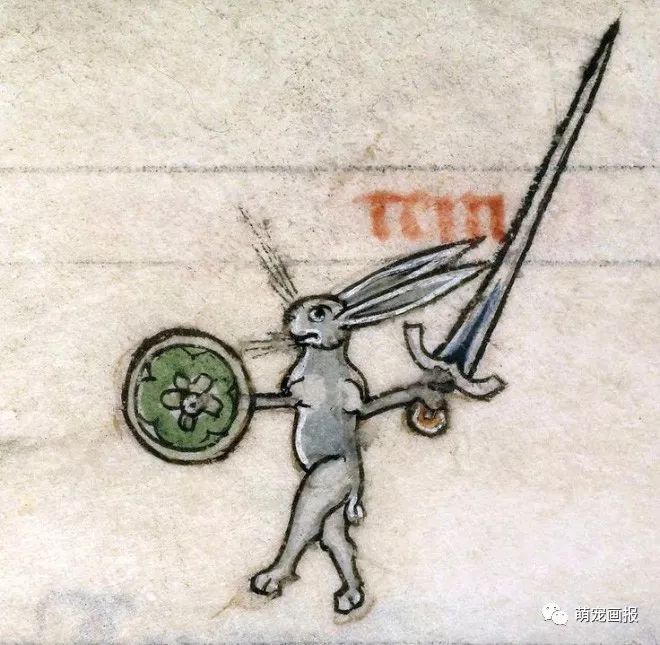 在欧洲中世纪人们的眼里,为什么兔子这么可怕?