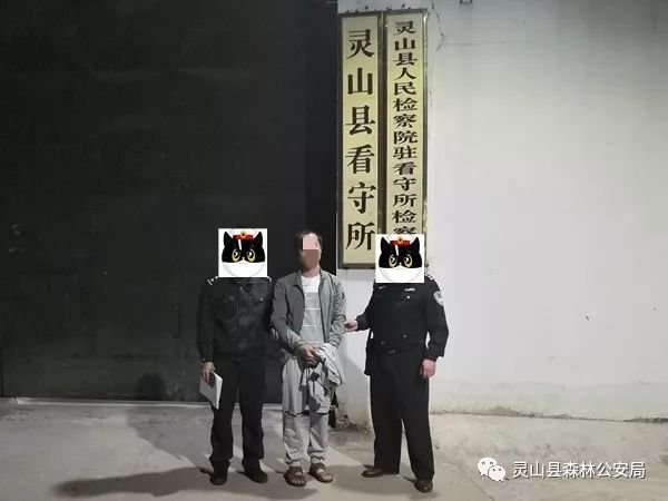 灵山沙坪人口_灵山沙坪至那丽公路图(2)