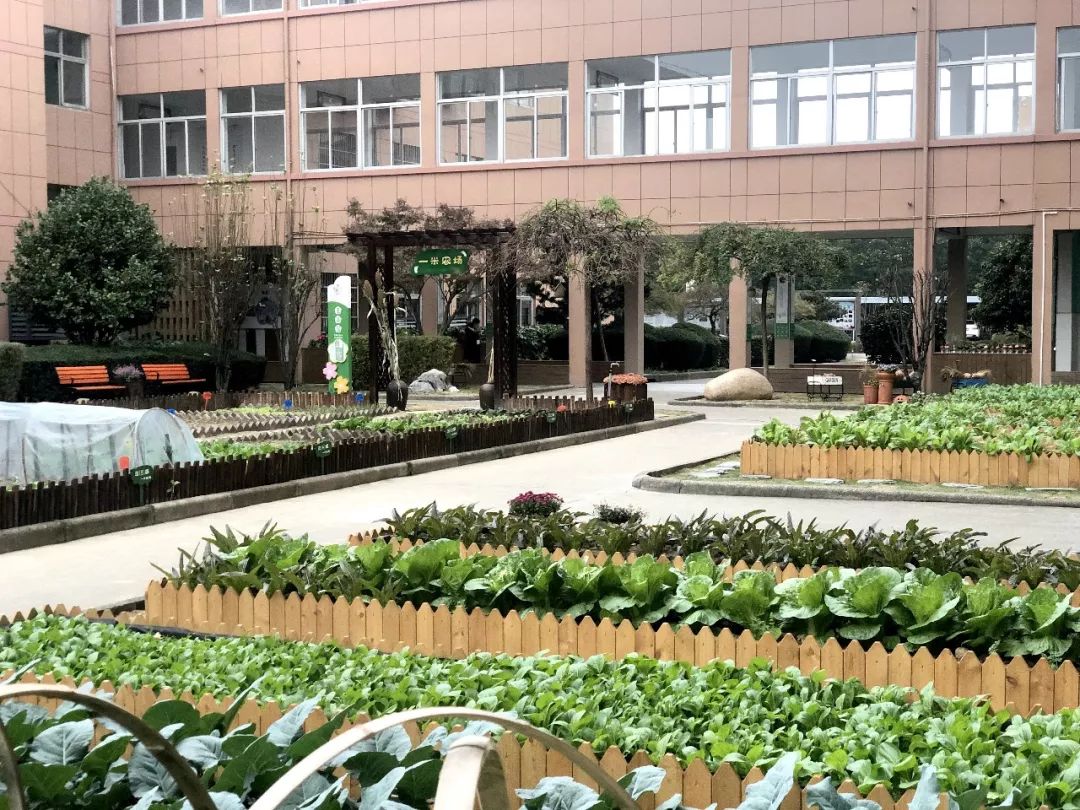 "一米农场","园艺工坊",慈溪这所学校的劳动教育有亮点