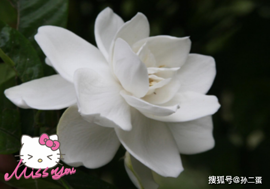 5f7b4ecfa7454e58a1a0a5a90c9c075f.png