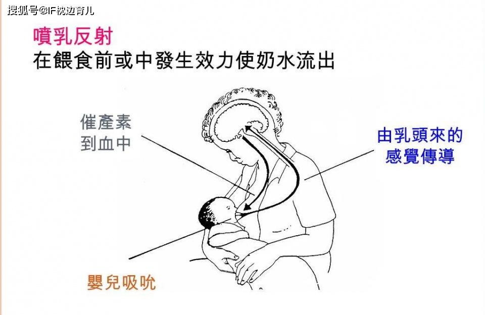 母乳喂养你坚持了多久？遇到这几类情况，别轻言放弃