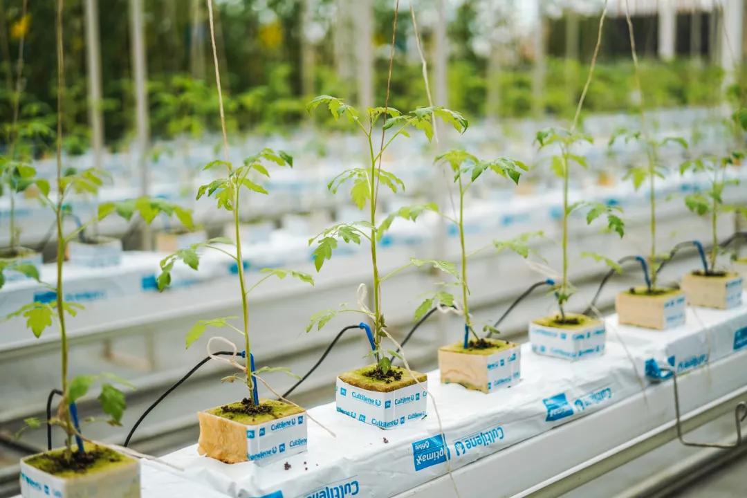 在欢乐田园的农业科技馆