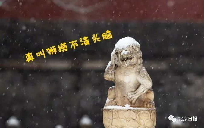 故宫雪景美上三个热搜这只小狮子的表情亮了