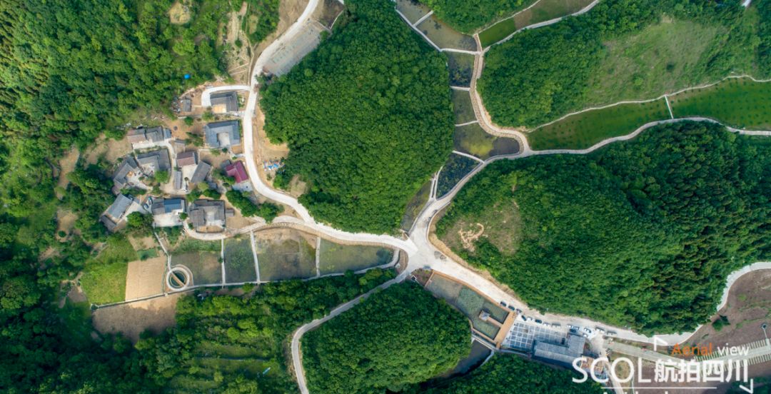 人均公园面积_宾阳凤凰湖公园面积