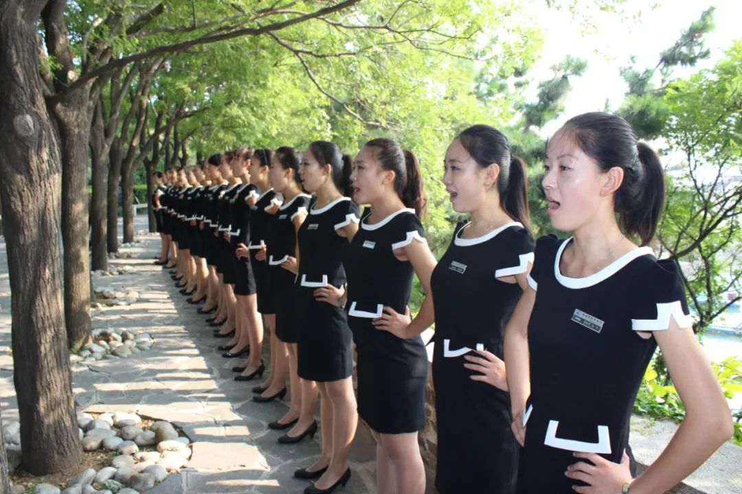 高标准培训,打造超"硬核"导游队伍