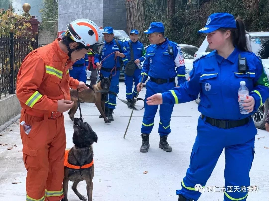 兩隻搜救犬被人毒死：殺死英雄的兇手，請你站出來！ 寵物 第4張