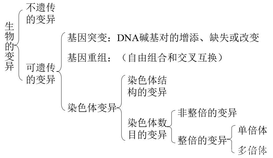 高中生物 | 5.2染色体变异