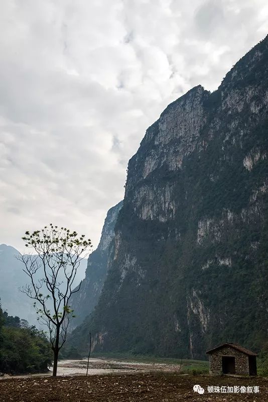 攀山什么成语_云南攀蜥有什么价值(3)
