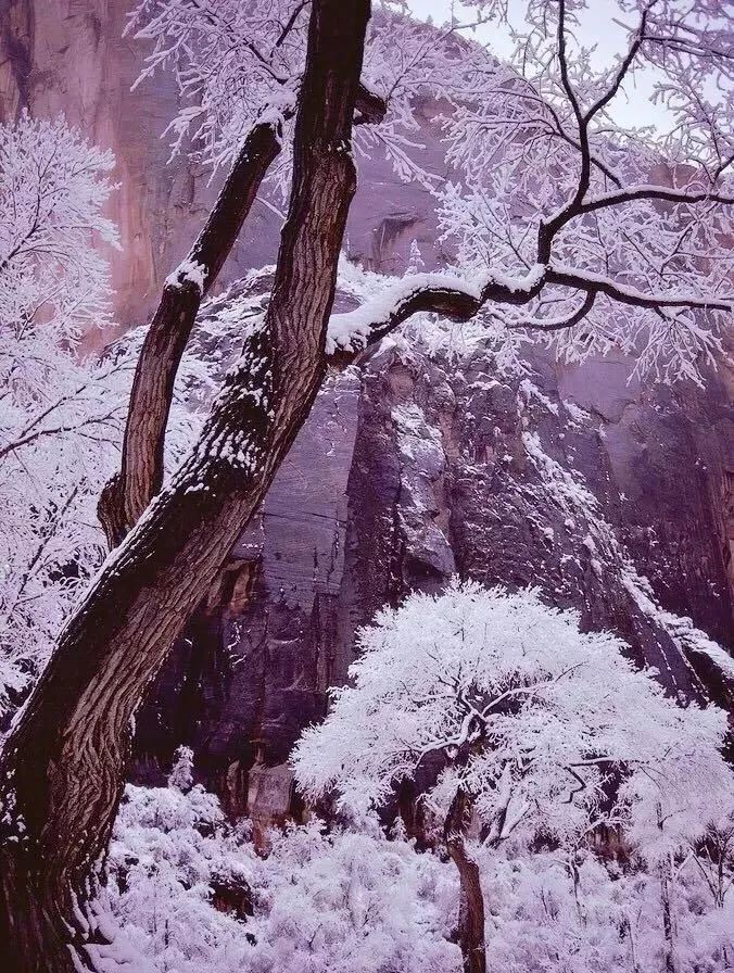 成语什么雪皑皑_有关雪的成语大全(3)