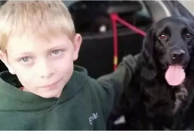 爱犬被偷后，小男孩花了6年时间寻找它，而奇迹真的出现了