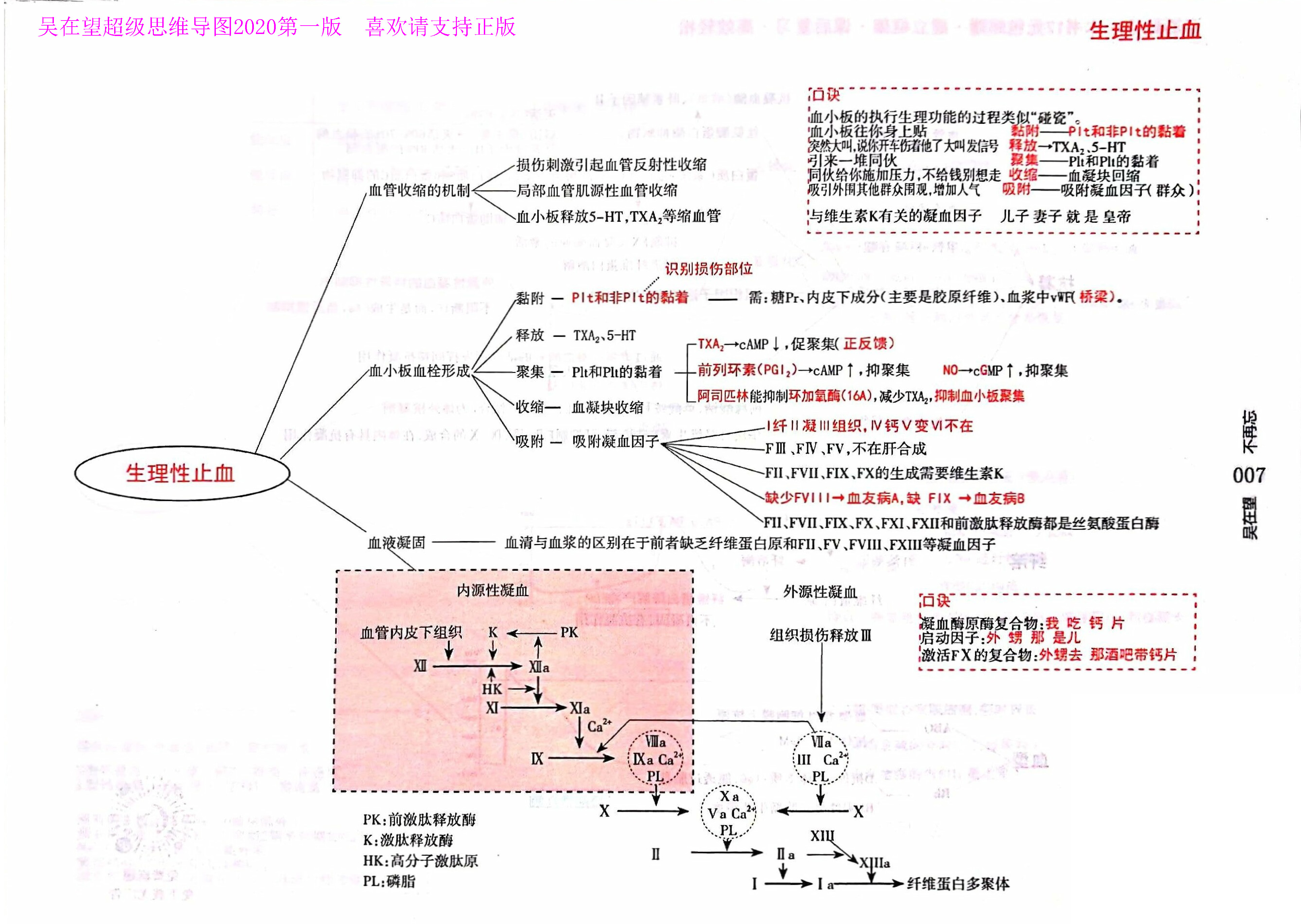 西综思维导图西综考研神器吴2生理学吴在望