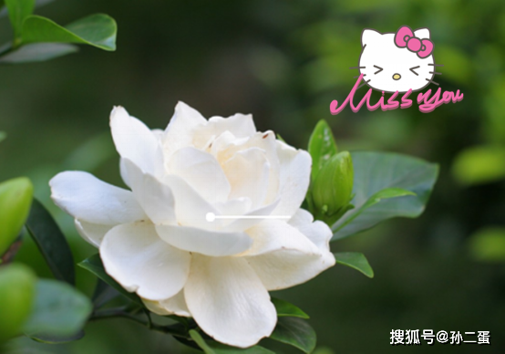 a708e6e89af2478caf0fd87743ad307d.png