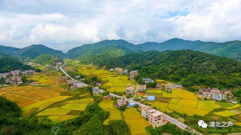 浦北户籍人口_浦北五皇岭自然风景区