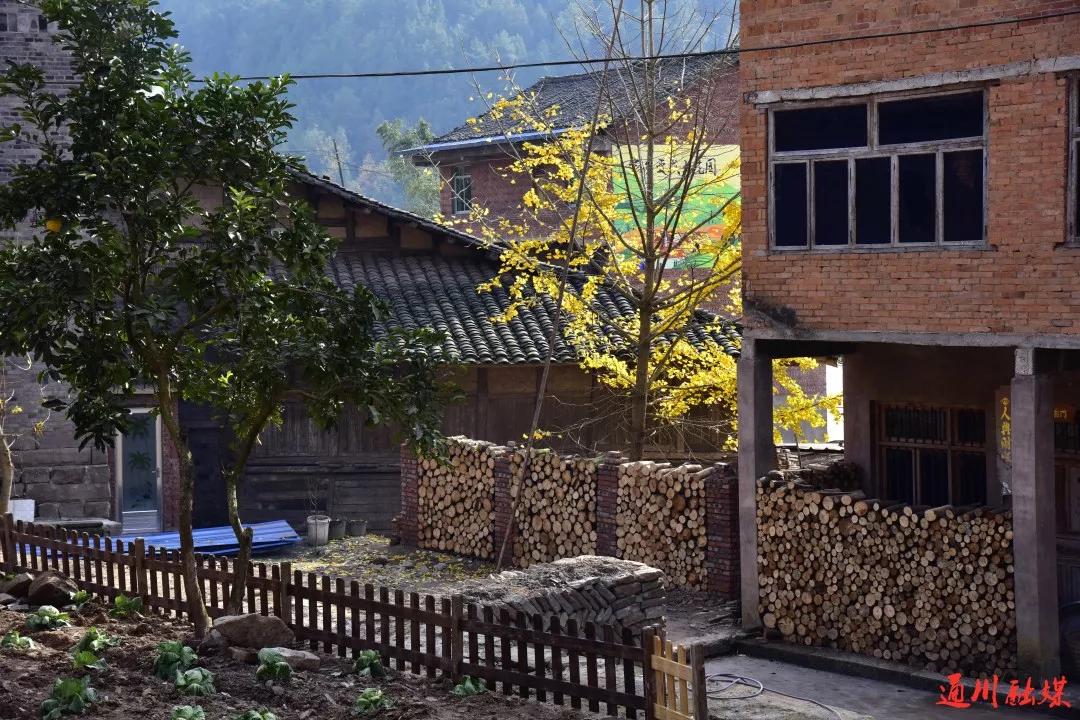 【乡村振兴通川行】用砖,瓦,竹,石,木打造的美丽庭院