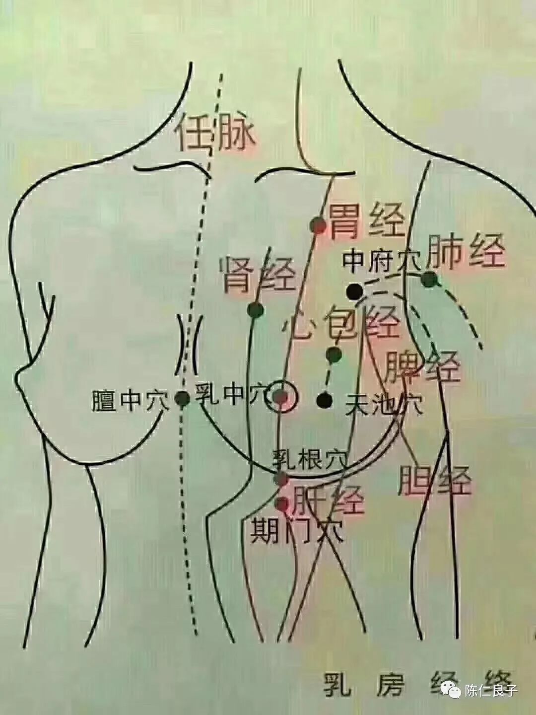 经络疏通不是:你喜不喜欢,也不是你需要不需要 在未来的日子里,乳腺癌