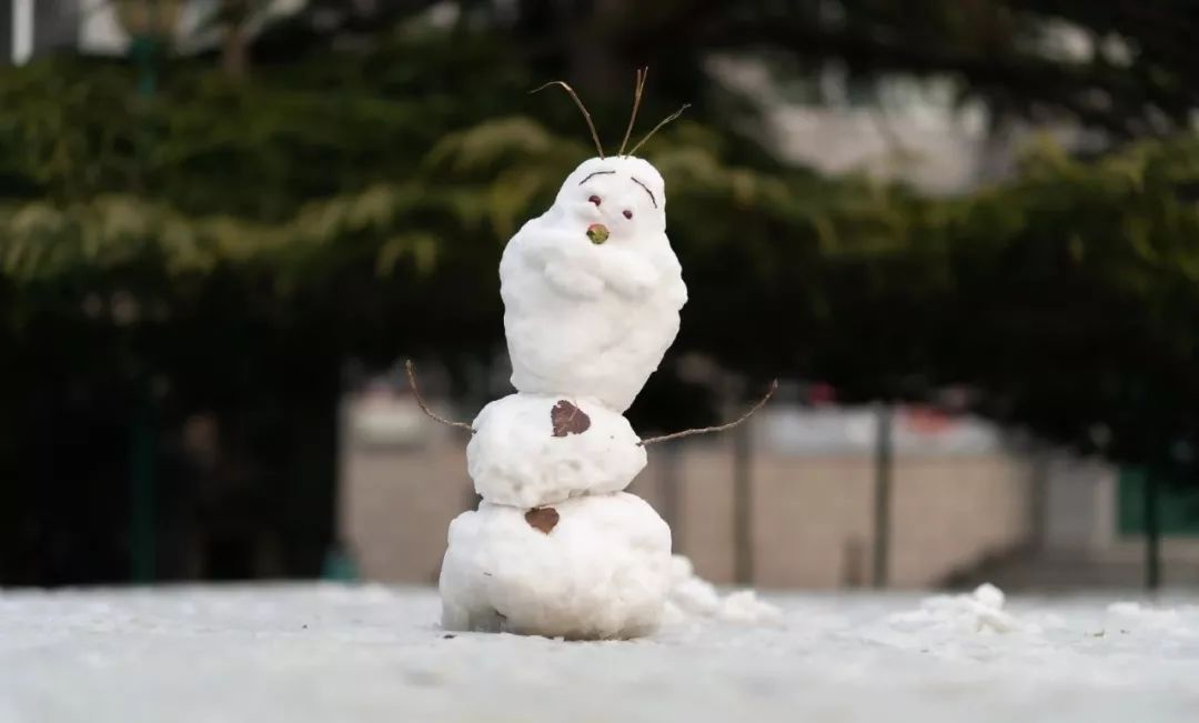2019年北京高校第二届堆雪人大赛开赛!
