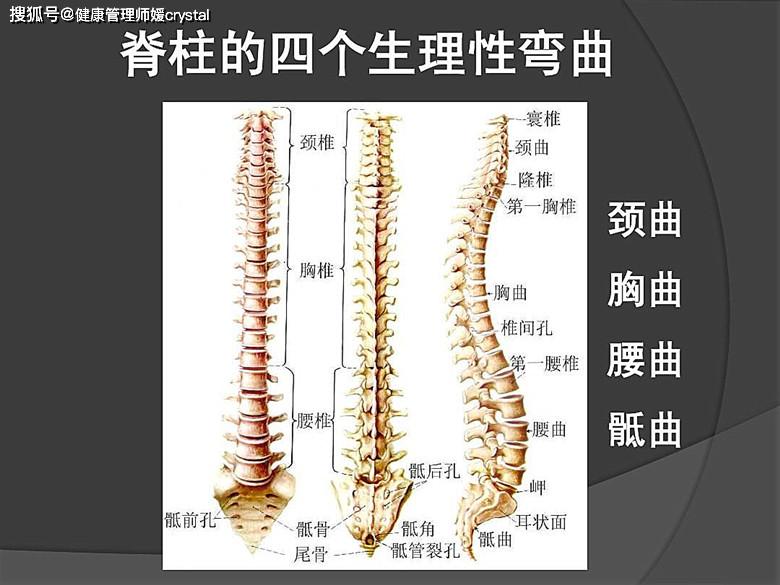 健康管理师媛crystal：宝宝睡软床好还是硬床好？哪种可以让宝宝健康发育成长呢？