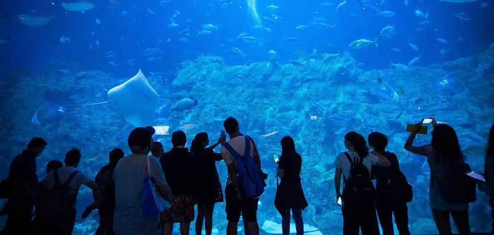 百亿身价,放弃加拿大籍入籍中国!他说做一个中