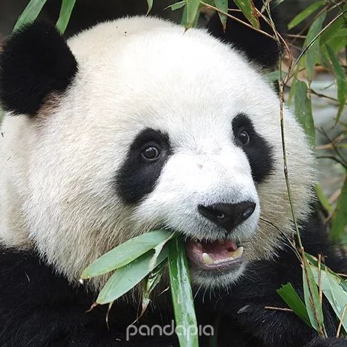 忧愁猜一成语_情头一男一女高冷忧愁(3)