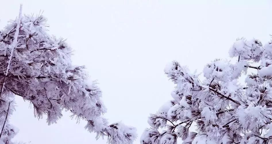 成语什么雪皑皑_有关雪的成语大全(3)