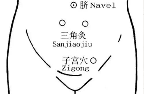 d014cb5a20654334a96a82dd46415537.JPG