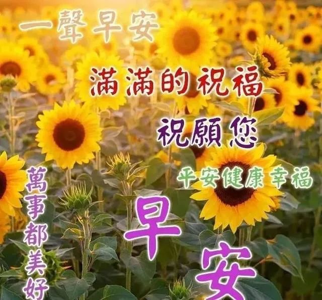 周二最新早上好问候祝福语短信 最美早安问候表情图片