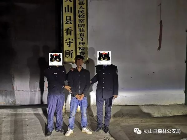 灵山沙坪人口_灵山沙坪至那丽公路图(3)