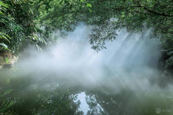 比较安全的热带雨林 f549c86702034cf88b2414d9b6c744a7.jpeg