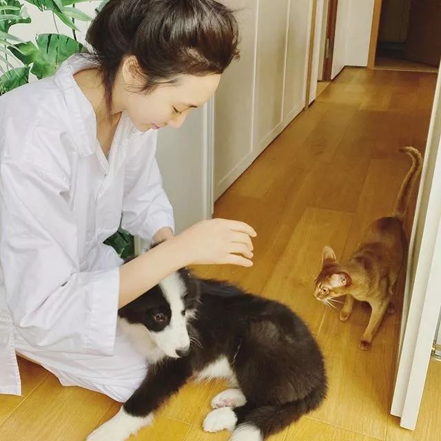 如果神奇女侠在中国选角,我希望是她