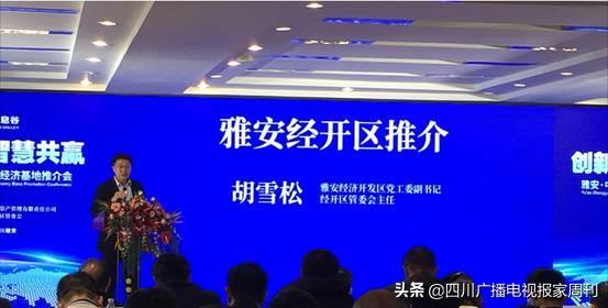 雅安数字经济总量_雅安地图