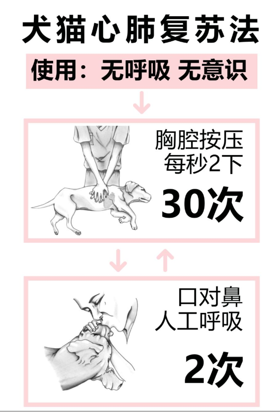 02b3ac5671a248398a73d3b52f4ae97a.png
