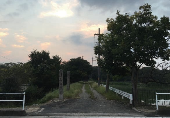 随笔| 奈良的绵绵青山间，寻访大唐的背影