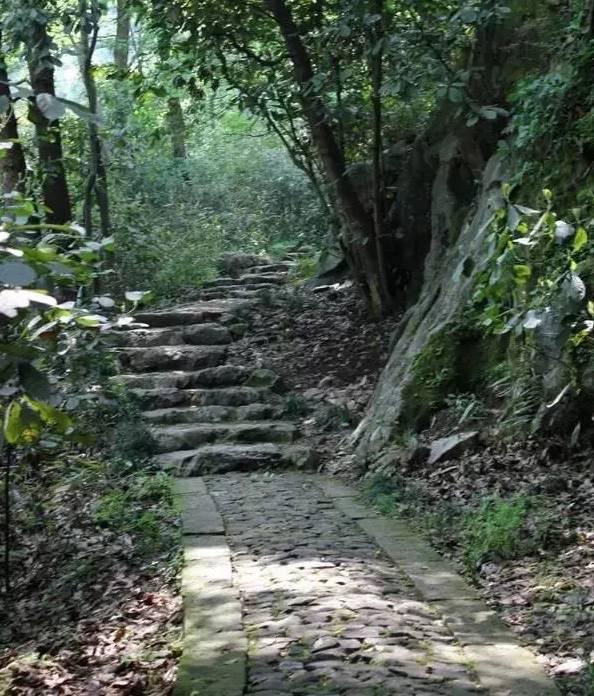 世界级情侣表白圣地,废话不说快上车。