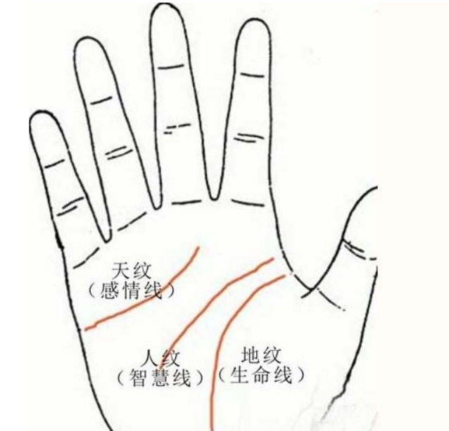基本的手相5条线代表着什么