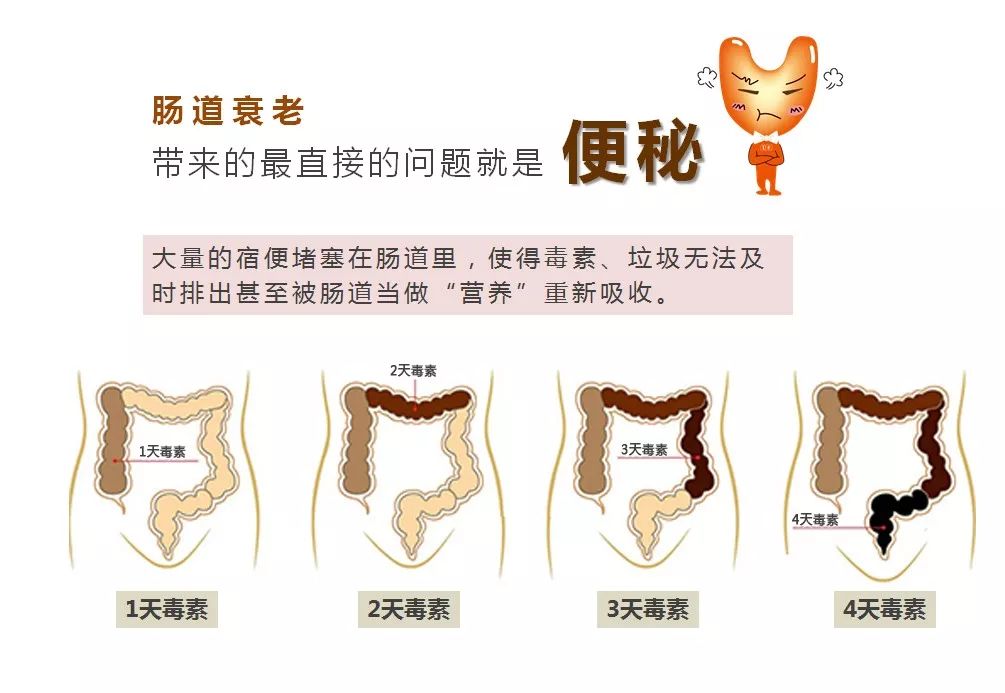 肠道垃圾毒你没商量,酵素让你"肠年轻"才能"常年轻"!