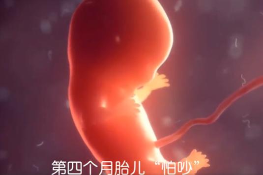 十月怀胎，每月各有一条“高压线”，孕妈碰一条，胎宝被伤害一次