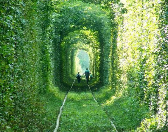 世界级情侣表白圣地,废话不说快上车。