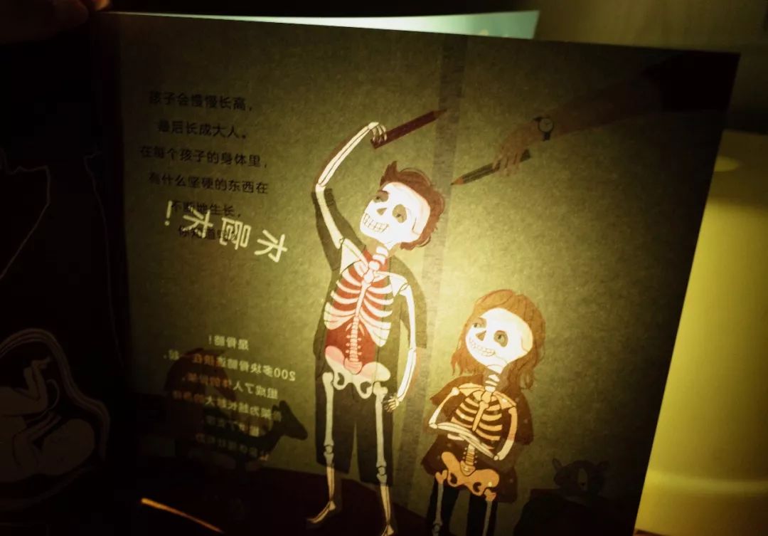 超好玩的科普透视绘本!手电筒轻轻一照,奥秘全出现!