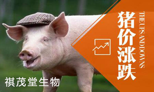 今日辽宁生猪走势 4279f4acb2ba451484b9dd5d3f1fa631.jpeg