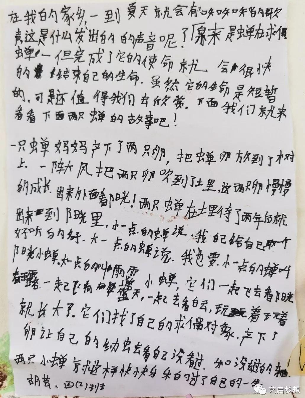 黄什么伺蝉成语_黑蝉黄点是什么回事(2)