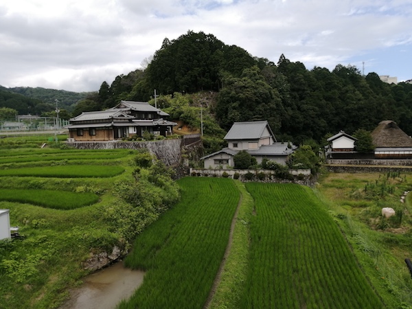 随笔| 奈良的绵绵青山间，寻访大唐的背影