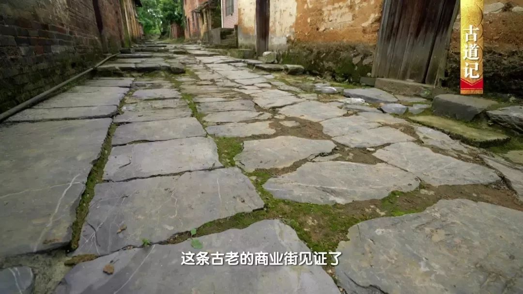 连州有多少人口